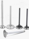 Cng Engine Valves