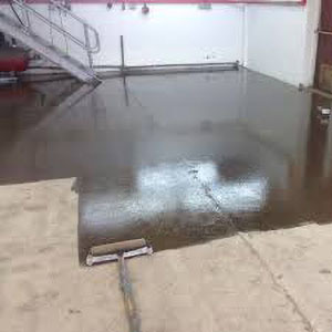 Dpm Primer - Color: White