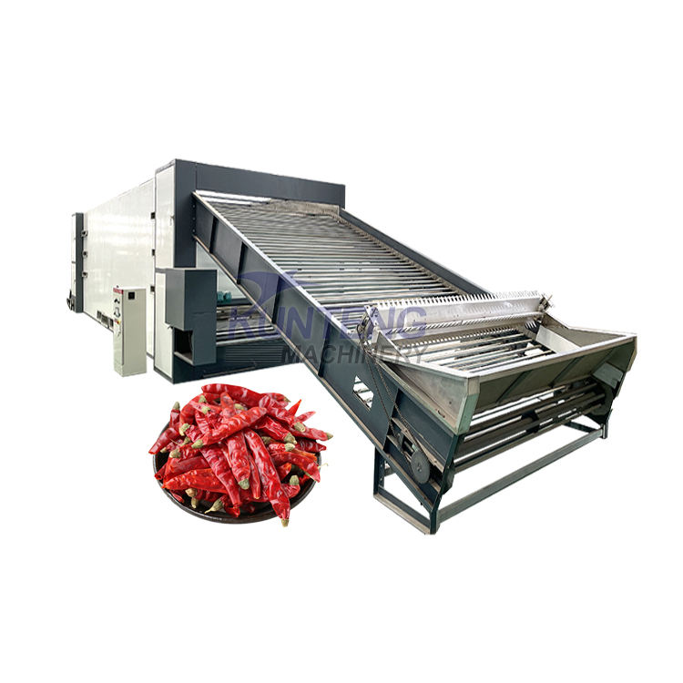 Continuous Mesh Dryer Red Chili Drying Machine
