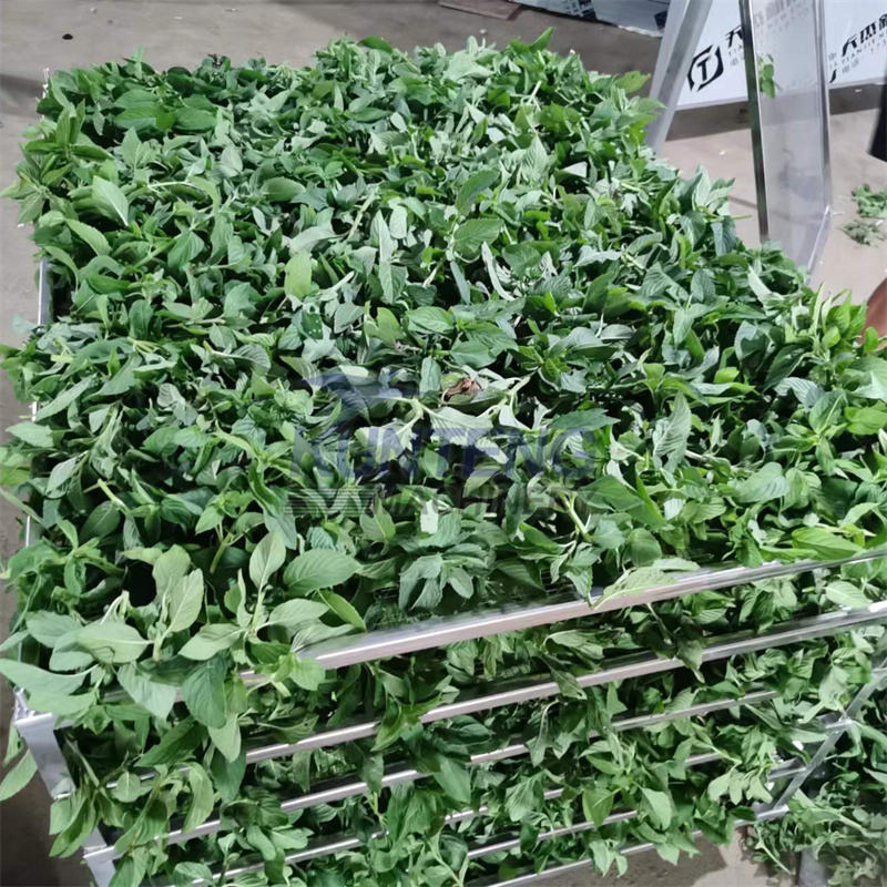 Heat Pump Dryer Moringa Leaves Drying Machine Industry Tray Dryer