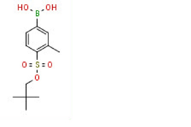 {4-[(2,2-dimethylpropoxy)sulfonyl]-3-methylphenyl}boronic acid