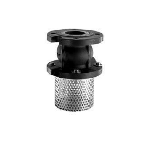 Cast Iron Foot Valve