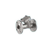 Y Strainer Flange End