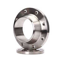 Titanium Forged Flanges - Color: Silver