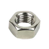 Inconel Alloy Nut - Color: Silver