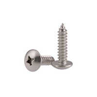 Hastelloy Screws - Color: Silver