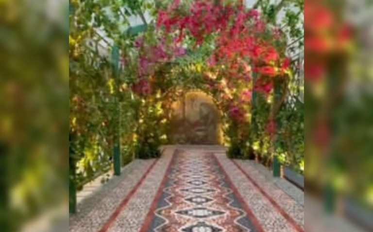 Wedding Event And Decoration Services