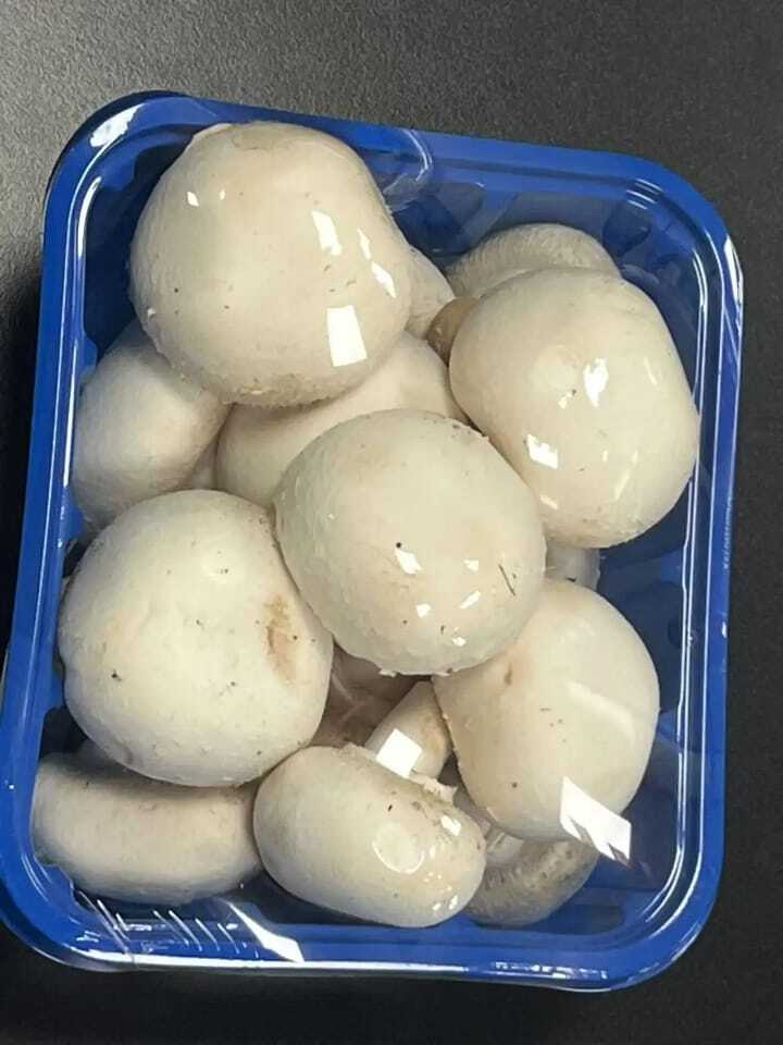 3.5 Kg Mushroom Cling Film Best Anti-fog Quality