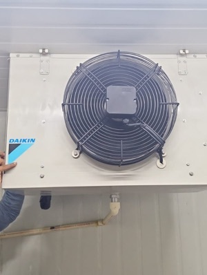 Daikin Cold Room