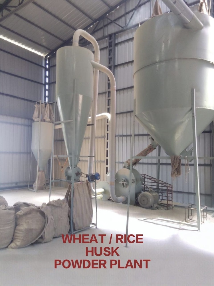 Wheat Powder Plant - Color: Multiple