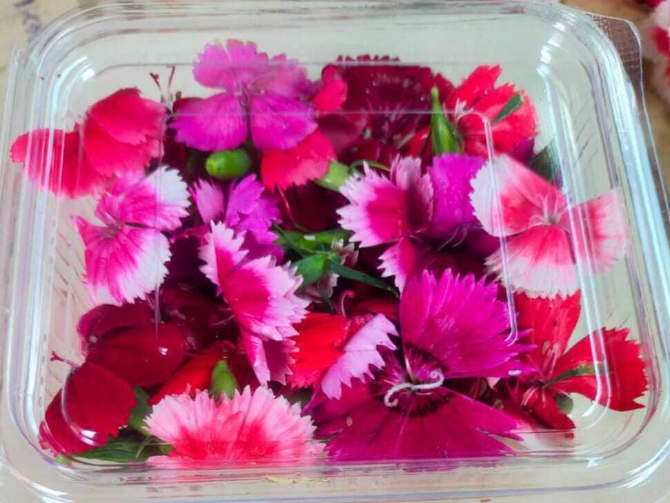 Edible Flower - Breed: Different Available