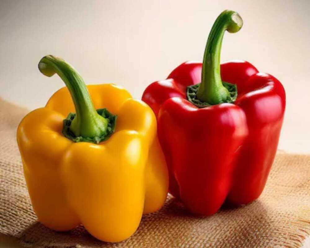 Yellow And Red Capsicum - Cultivation Type: Organic
