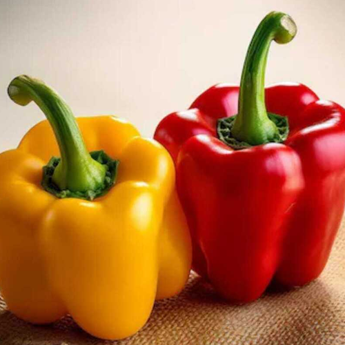Yellow and Red Capsicum