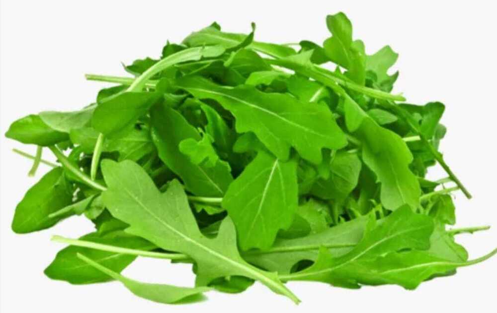 Arugula Leaves - Cultivation Type: Organic