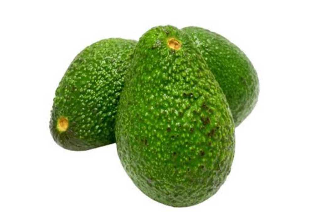Avocado Imported