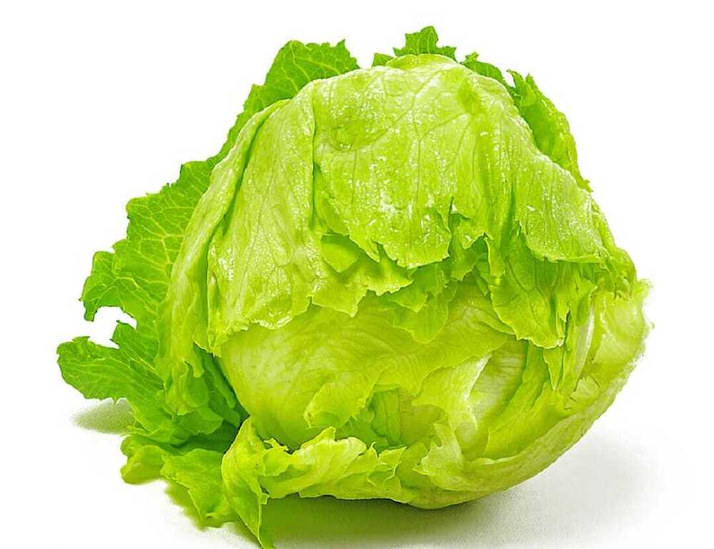 Iceberg lettuce