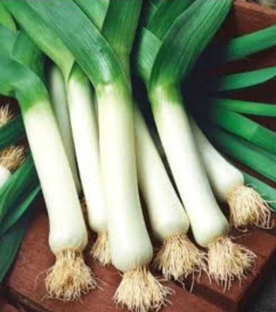 Fresh Leek Leaves - Color: Green