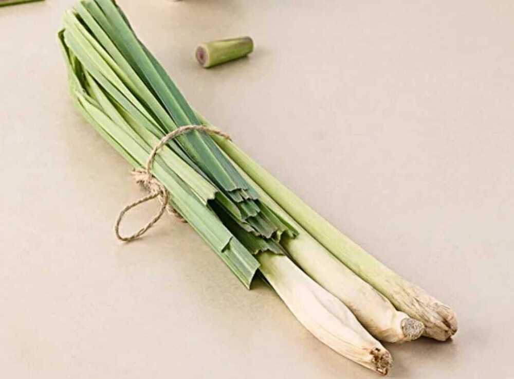 Lemon Grass - Cultivation Type: Organic