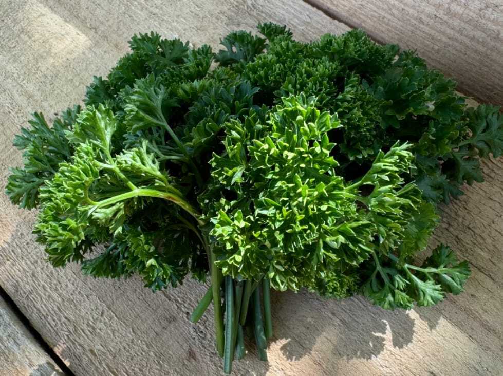 Parsley Leaves - Cultivation Type: Organic