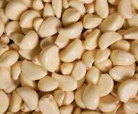 Machine Peeled Garlic