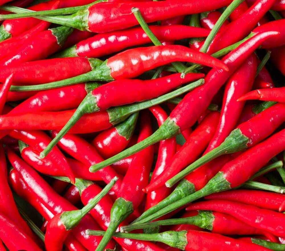 Thai Chilli - Cultivation Type: Organic