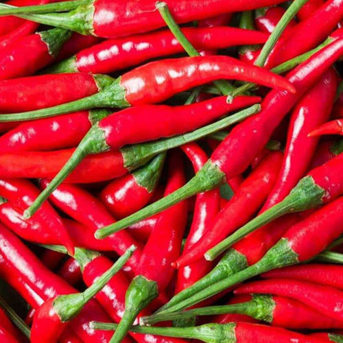 Thai Chilli