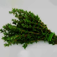 Thyme Leaves