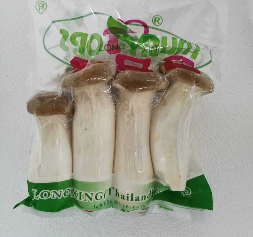Thai King Oyster Mushroom