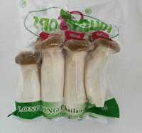 King Oyster Mushroom
