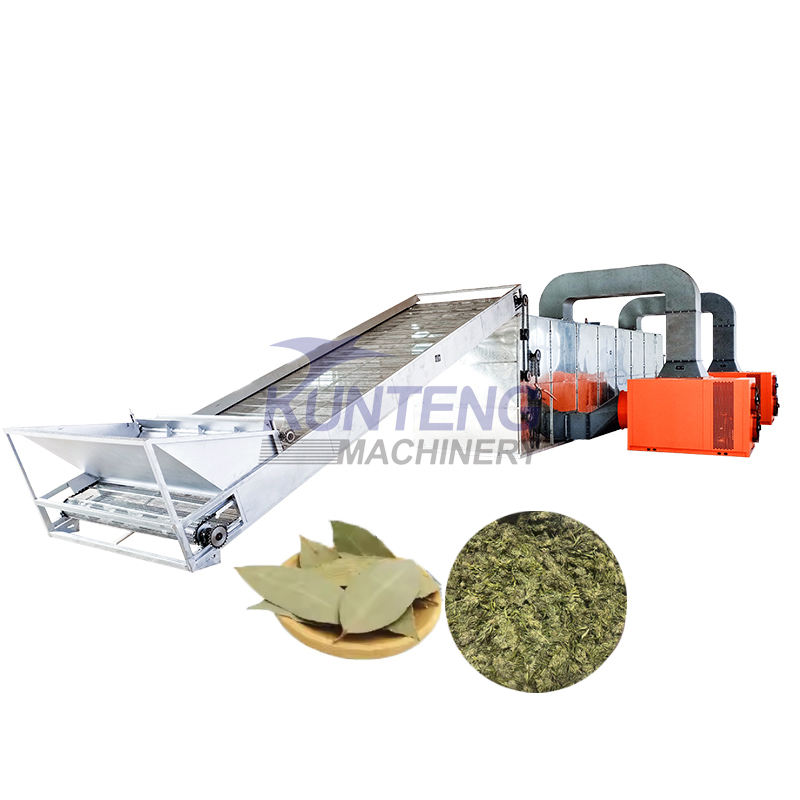 Continuous Mesh Belt Dryer Grass Moringa Leaf Vanilla Forage Alfalfa Drying Machine - Feature: High Efficiency