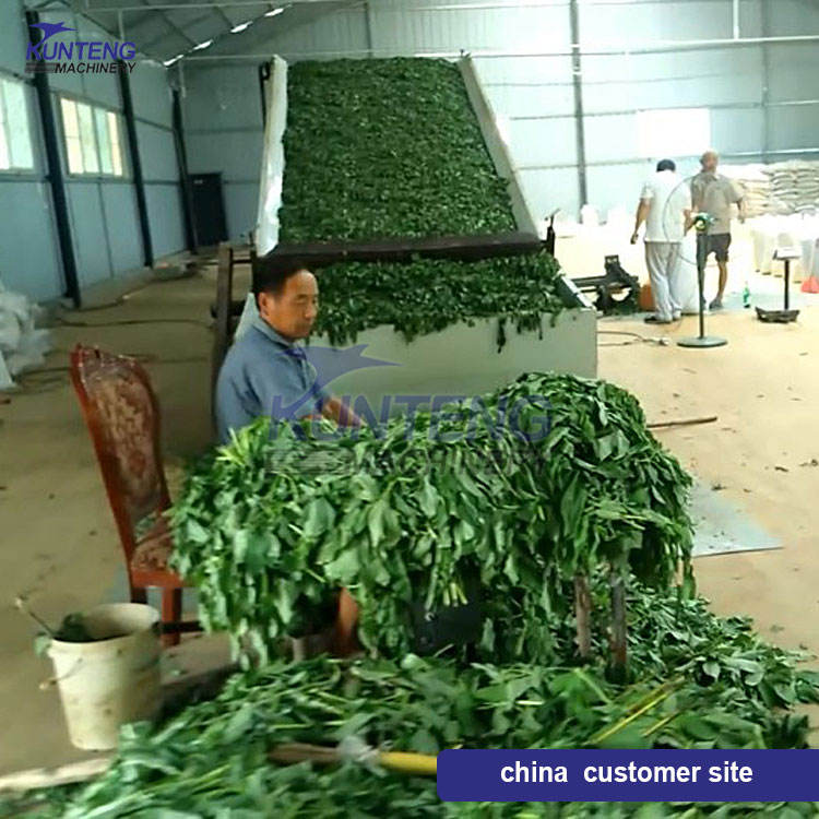 Continuous Mesh Belt Dryer Grass Moringa Leaf Vanilla Forage Alfalfa Drying Machine - Feature: High Efficiency