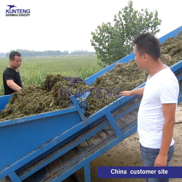 Continuous Mesh Belt Dryer Grass Moringa Leaf Vanilla Forage Alfalfa Drying Machine