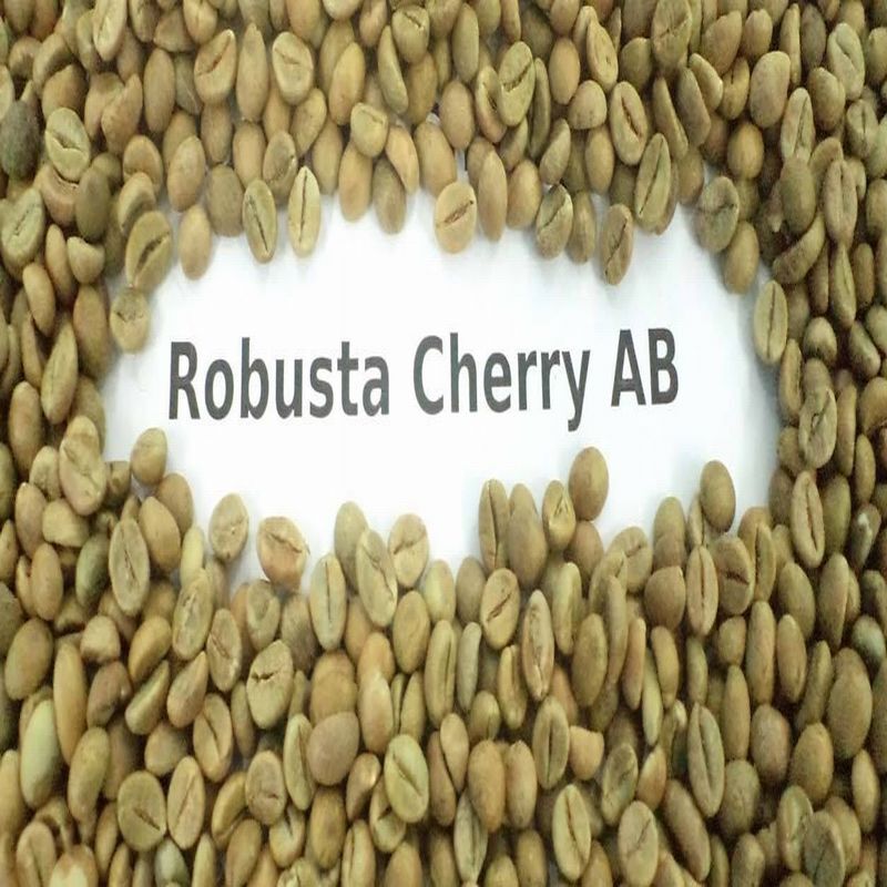 Robusta Cherry Ab Coffee Beans - Cultivation Type: Organic