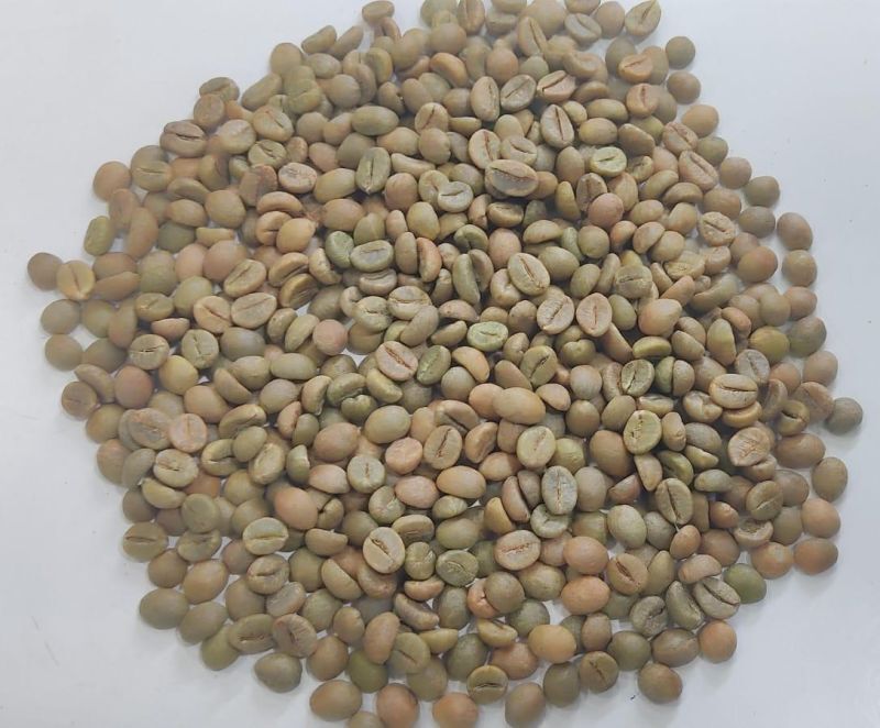 Coffee Beans - Cultivation Type: Organic