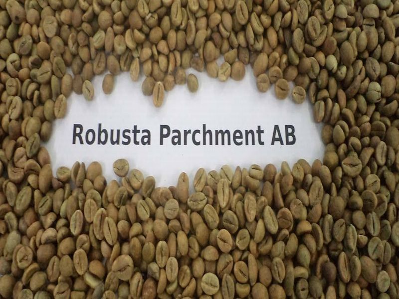 रोबस्टा पेपर्स AB कॉफी बीन्स