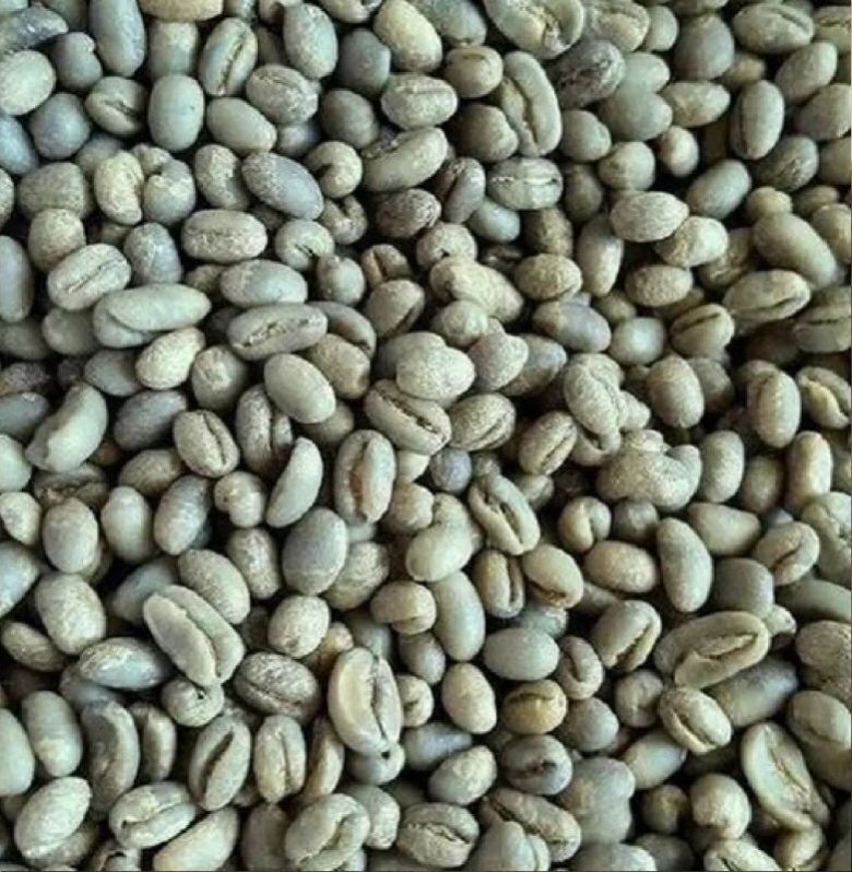 Robusta Cherry Pb Coffee Beans - Cultivation Type: Organic