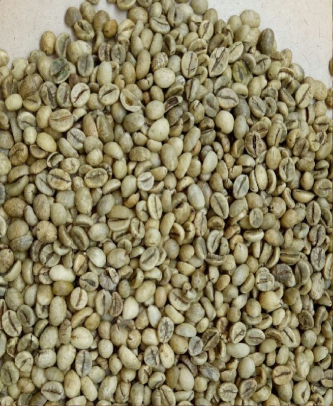 Arabica Plantation A Coffee Beans - Cultivation Type: Organic