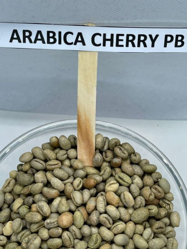 Arabica Cherry Pb Coffee Beans - Cultivation Type: Organic
