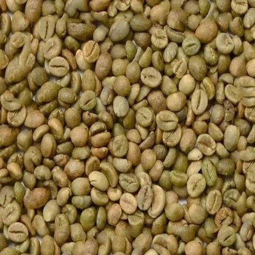 Robusta Cherry C Coffee Beans - Cultivation Type: Organic