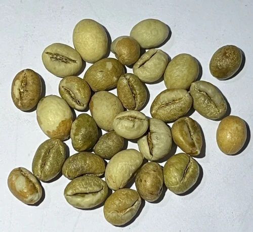 Robusta Parchment Pb Coffee Beans - Cultivation Type: Organic