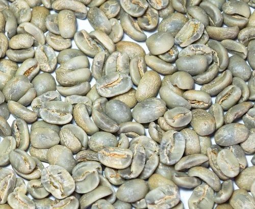 Arabica Plantation Pb Coffee Beans - Cultivation Type: Organic