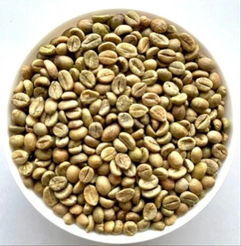Robusta Parchment C Coffee Bean - Cultivation Type: Organic