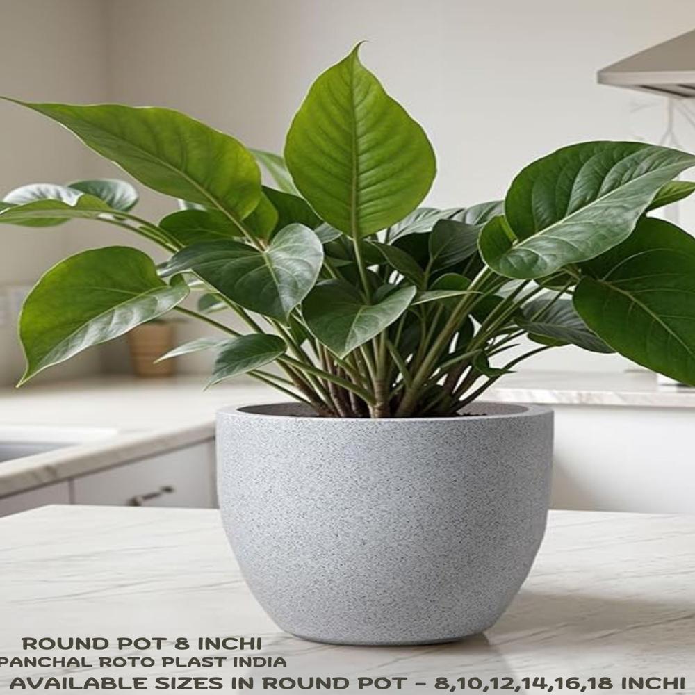 Round Flower Pot 8 Inchi Roto - Color: White