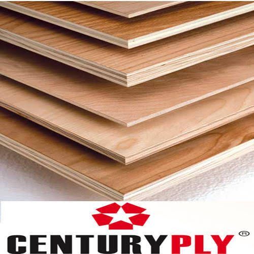 Century Ply Wood