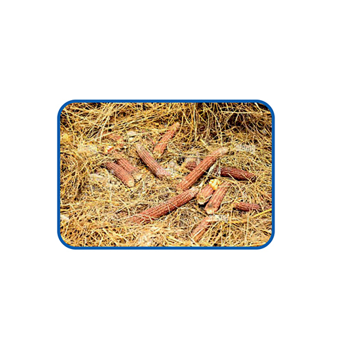 Corn Cobs Waste - Color: Brown