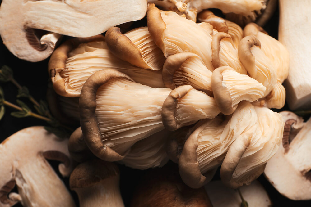 Maitake Mushroom Powder