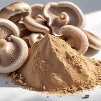Oyster Mushroom Powder