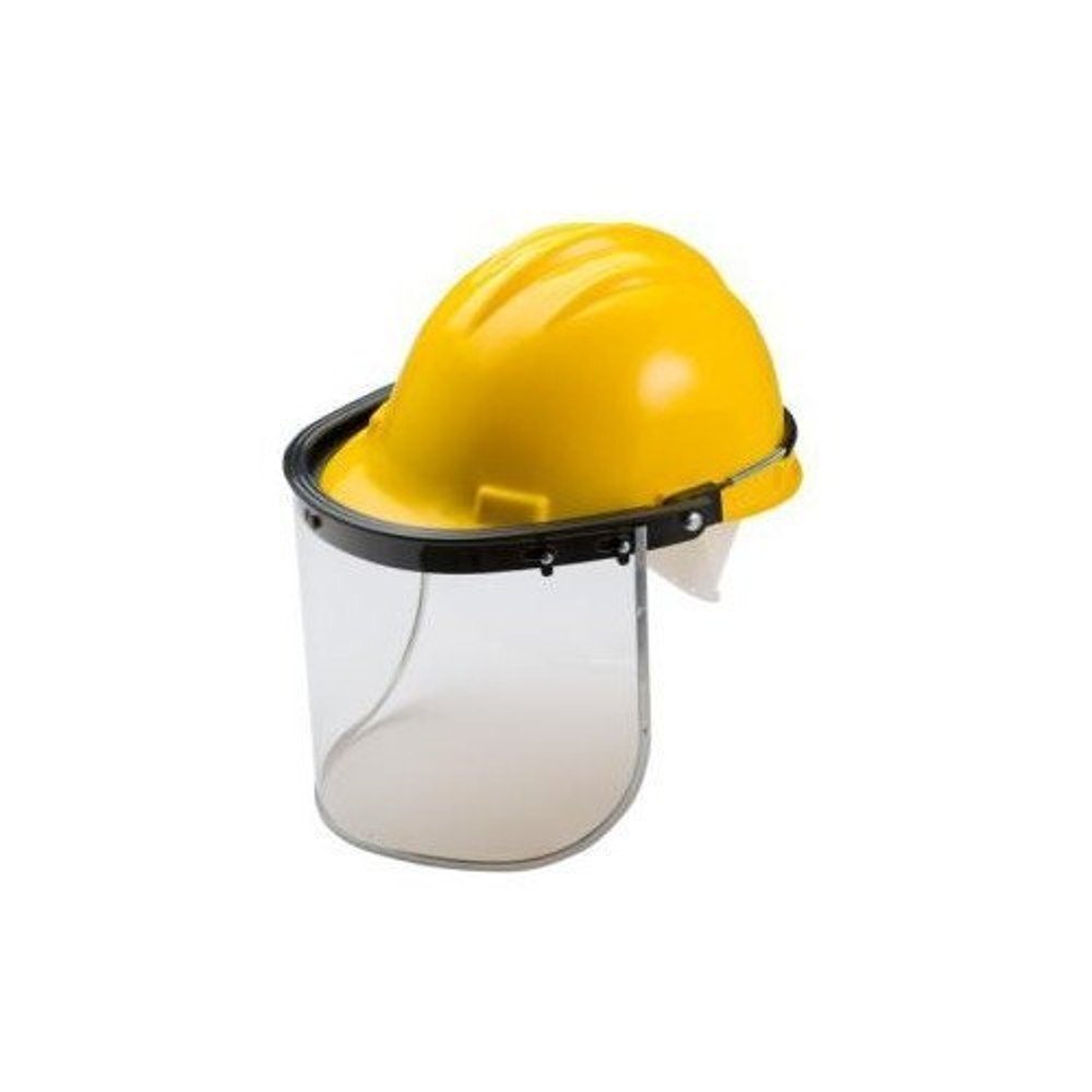 Safety Helmet with Visor