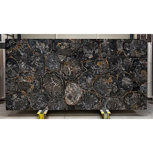 Petrified Wood Black & White Circular