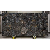 Petrified Wood Black & White Circular - Stone Form: Slabs